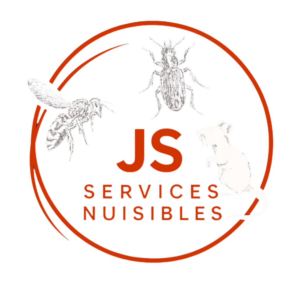 Logo JS SERVICES NUISIBLES, retour à l'accueil