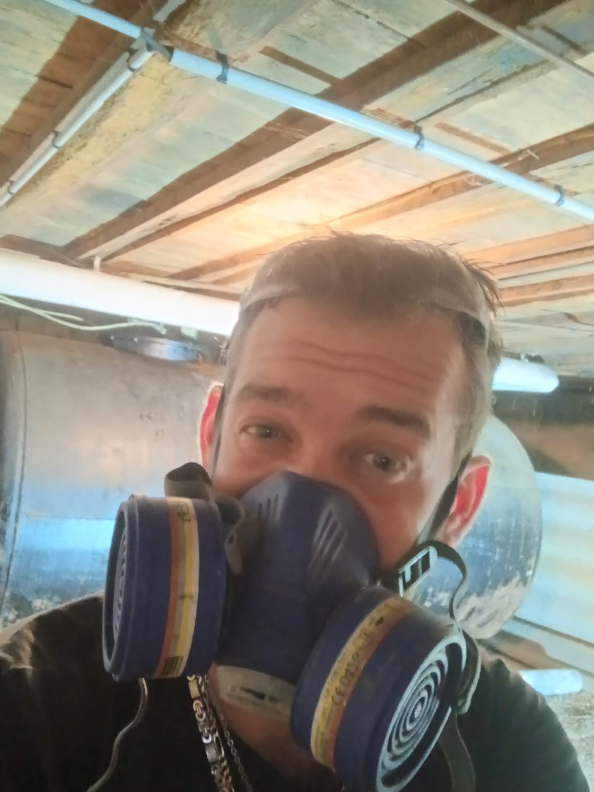 Technicien JS Services Nuisibles en équipement de protection pour traitement xylophage