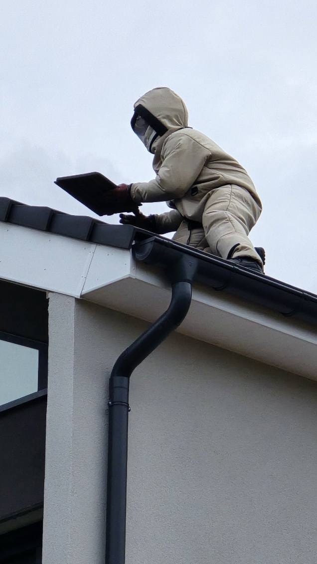 Exterminateur JS Services Nuisibles en intervention de traitement xylophage à Belfort